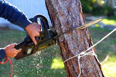 Trail Cutting