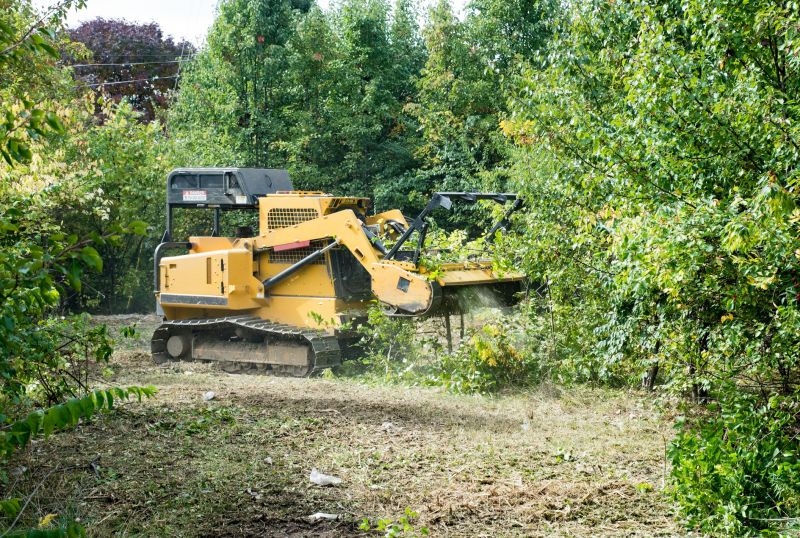 Hill Clearing in Utah County, UT
