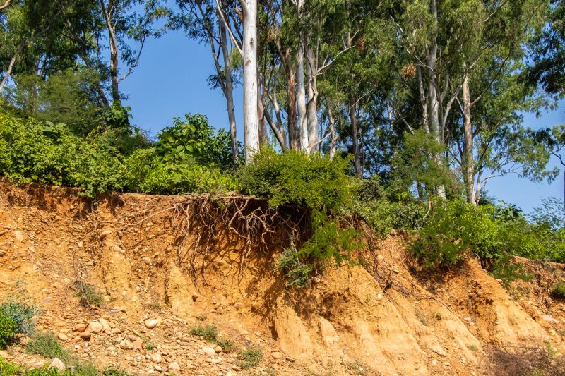 Trail Erosion Control Measures